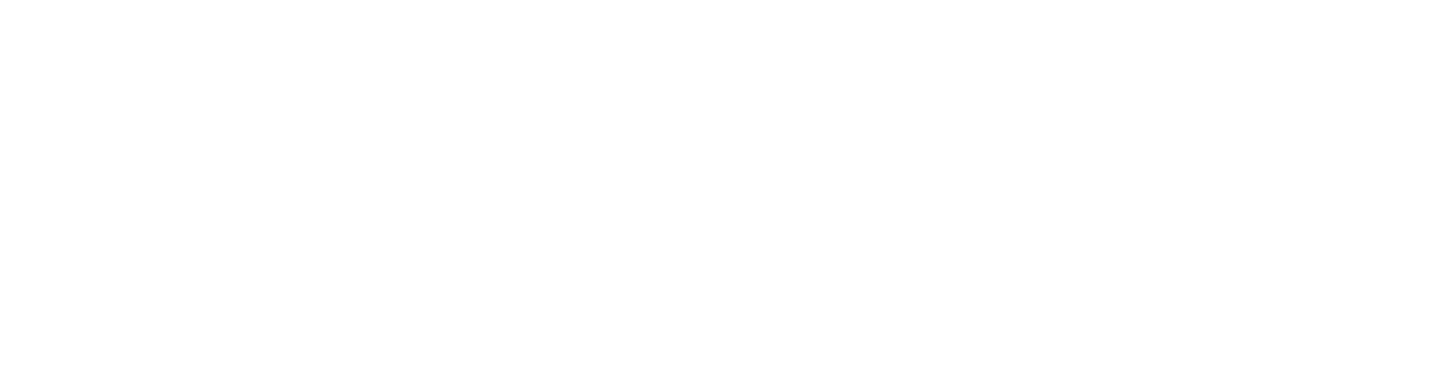 白色logo.png